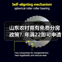 山东农村竟有免费分房政策？年满22即可申请！（图3）