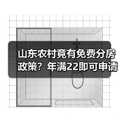 山东农村竟有免费分房政策？年满22即可申请！（图4）
