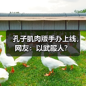 孔子肌肉版手办上线，网友：以武服人？（图2）