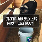 孔子肌肉版手办上线，网友：以武服人？（图4）