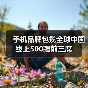 手机品牌包揽全球中国线上500强前三席（图1）