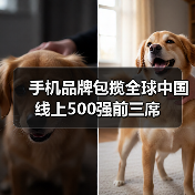 手机品牌包揽全球中国线上500强前三席（图3）