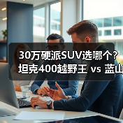 30万硬派SUV选哪个？坦克400越野王 vs 蓝山豪华驾控（图2）