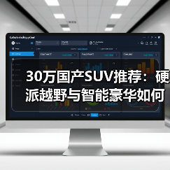 30万国产SUV推荐：硬派越野与智能豪华如何选（图4）