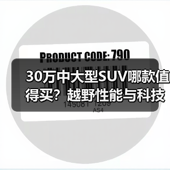 30万中大型SUV哪款值得买？越野性能与科技配置全解析（图4）