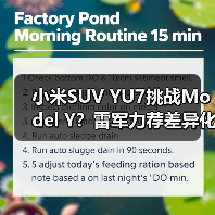 小米SUV YU7挑战Model Y？雷军力荐差异化突围（图2）