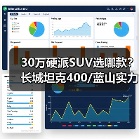 30万硬派SUV选哪款?长城坦克400/蓝山实力出众(图3) 30万硬派SUV选哪款?长城坦克400/蓝山实力出众(图3)
