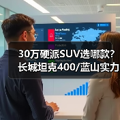 30万硬派SUV选哪款?长城坦克400/蓝山实力出众(图4) 30万硬派SUV选哪款?长城坦克400/蓝山实力出众(图4)