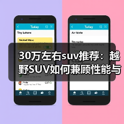 30万左右suv推荐:越野SUV如何兼顾性能与舒适?(图3) 30万左右suv推荐:越野SUV如何兼顾性能与舒适?(图3)