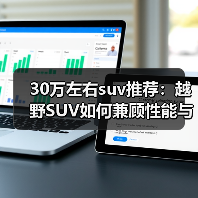 30万左右suv推荐:越野SUV如何兼顾性能与舒适?(图4) 30万左右suv推荐:越野SUV如何兼顾性能与舒适?(图4)