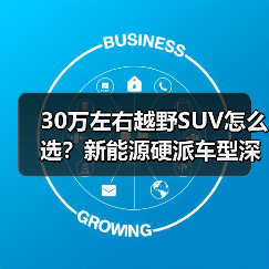 30万左右越野SUV怎么选?新能源硬派车型深度解析(图3) 30万左右越野SUV怎么选?新能源硬派车型深度解析(图3)