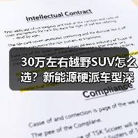 30万左右越野SUV怎么选?新能源硬派车型深度解析(图4) 30万左右越野SUV怎么选?新能源硬派车型深度解析(图4)