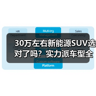 30万左右新能源SUV选对了吗?实力派车型全解析(图4) 30万左右新能源SUV选对了吗?实力派车型全解析(图4)