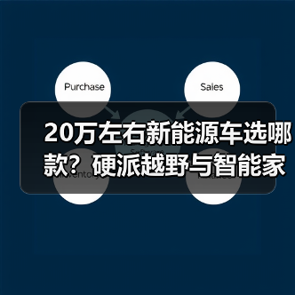 20万左右新能源车选哪款?硬派越野与智能家用怎么选?(图4) 20万左右新能源车选哪款?硬派越野与智能家用怎么选?(图4)