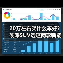 20万左右买什么车好?硬派SUV选这两款新能源实力派(图4) 20万左右买什么车好?硬派SUV选这两款新能源实力派(图4)