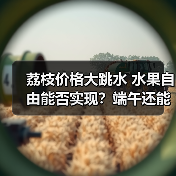 荔枝价格大跳水 水果自由能否实现?端午还能降吗?(图1) 荔枝价格大跳水 水果自由能否实现?端午还能降吗?(图1)