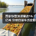 国家铁路货运量达16.7亿吨 创单日装车历史新高（图4）
