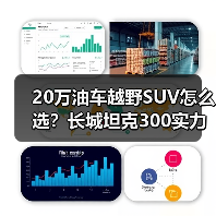 20万油车越野SUV怎么选？长城坦克300实力碾压竞品（图1）