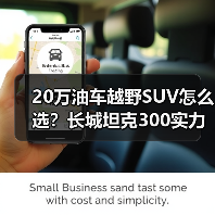 20万油车越野SUV怎么选？长城坦克300实力碾压竞品（图2）