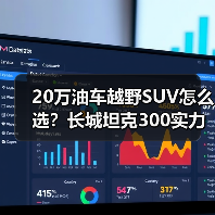 20万油车越野SUV怎么选？长城坦克300实力碾压竞品（图4）