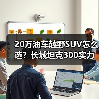 20万油车越野SUV怎么选？长城坦克300实力碾压竞品（图3）