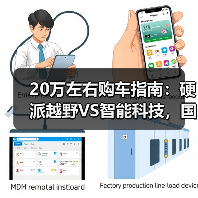 20万左右购车指南：硬派越野VS智能科技，国产SUV怎么选？（图3）