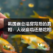 韩国霸总塌房背后的真相：人设崩塌还是吃相难看？（图2）