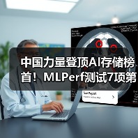 中国力量登顶AI存储榜首!MLPerf测试7项第一引行业震动(图4) 中国力量登顶AI存储榜首!MLPerf测试7项第一引行业震动(图4)