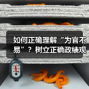 如何正确理解“为官不易”？树立正确政绩观的五大实践路径（图1）