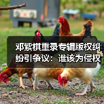 邓紫棋重录专辑版权纠纷引争议:谁该为侵权负责?(图4) 邓紫棋重录专辑版权纠纷引争议:谁该为侵权负责?(图4)
