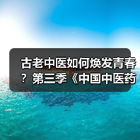 古老中医如何焕发青春？第三季《中国中医药大会》揭秘（图3）