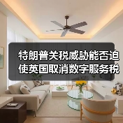 特朗普关税威胁能否迫使英国取消数字服务税？（图4）