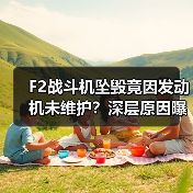 F2战斗机坠毁竟因发动机未维护?深层原因曝光(图4) F2战斗机坠毁竟因发动机未维护?深层原因曝光(图4)