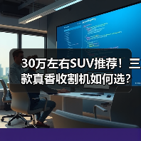 30万左右SUV推荐!三款真香收割机如何选?(图2) 30万左右SUV推荐!三款真香收割机如何选?(图2)