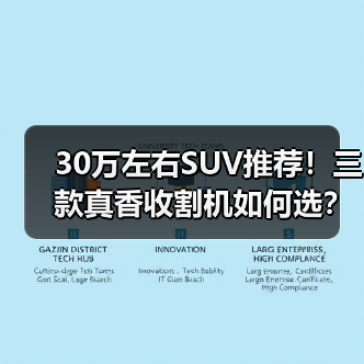 30万左右SUV推荐!三款真香收割机如何选?(图4) 30万左右SUV推荐!三款真香收割机如何选?(图4)