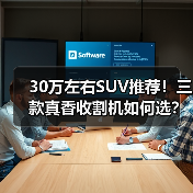 30万左右SUV推荐!三款真香收割机如何选?(图3) 30万左右SUV推荐!三款真香收割机如何选?(图3)
