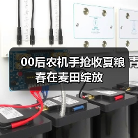 00后农机手抢收夏粮 青春在麦田绽放（图3）