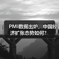 PMI数据出炉,中国经济扩张态势如何?(图3) PMI数据出炉,中国经济扩张态势如何?(图3)
