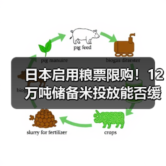 日本启用粮票限购!12万吨储备米投放能否缓解米荒危机(图1) 日本启用粮票限购!12万吨储备米投放能否缓解米荒危机(图1)