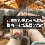 儿童智能手表选购避坑指南:市场监管总局消费提示全解析(图1) 儿童智能手表选购避坑指南:市场监管总局消费提示全解析(图1)