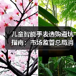 儿童智能手表选购避坑指南:市场监管总局消费提示全解析(图4) 儿童智能手表选购避坑指南:市场监管总局消费提示全解析(图4)