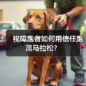 视障跑者如何用信任跑赢马拉松?(图2) 视障跑者如何用信任跑赢马拉松?(图2)