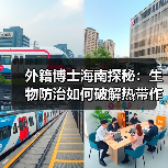 外籍博士海南探秘：生物防治如何破解热带作物病害？（图4）