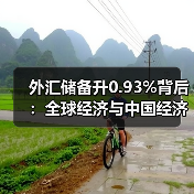 外汇储备规模为何持续上升?多重因素推动增 外汇储备规模为何持续上升?多重因素推动增