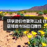 2025暑期研学游市场降价30% 住宿标 2025暑期研学游市场降价30% 住宿标