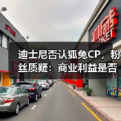 迪士尼否认狐兔CP，粉丝质疑：商业利益是否先于感情？（图3）