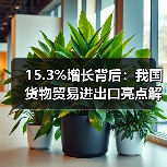 15.3%增长背后:我国货物贸易进出口亮点解析(图3) 15.3%增长背后:我国货物贸易进出口亮点解析(图3)