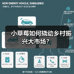 小草莓如何撬动乡村振兴大市场？（图3）