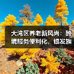 大湾区养老新风尚:跨境服务便利化,银发族如何安享晚年(图2) 大湾区养老新风尚:跨境服务便利化,银发族如何安享晚年(图2)