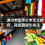 温州市副市长李无文被查，背后真相引关注（图3）